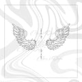 Wings of Light