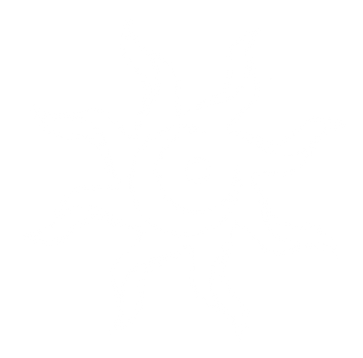Chaosandorder